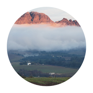 Stellenrust Wine Estate