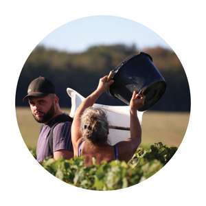 Domaine Tatin