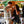 Otto's Wijnfestival - zaterdag 1 november 2025