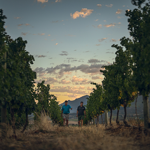 Masterclass Ernie Els Wines - Zuid-Afrika