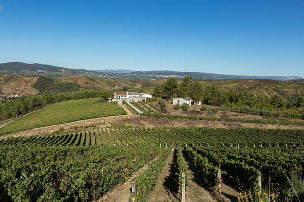 Masterclass Quinta da Boeira 16 oktober 2025